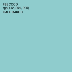 #8ECCCD - Half Baked Color Image