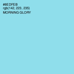 #8EDFEB - Morning Glory Color Image