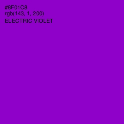 #8F01C8 - Electric Violet Color Image