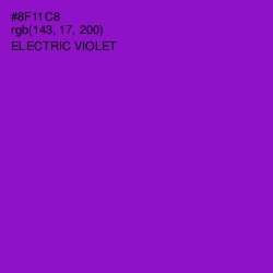 #8F11C8 - Electric Violet Color Image