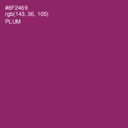 #8F2469 - Plum Color Image