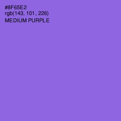 #8F65E2 - Medium Purple Color Image