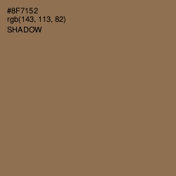 #8F7152 - Shadow Color Image