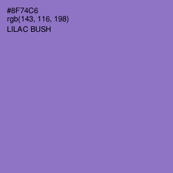 #8F74C6 - Lilac Bush Color Image