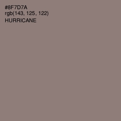 #8F7D7A - Hurricane Color Image