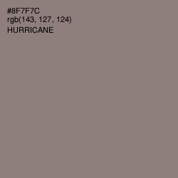 #8F7F7C - Hurricane Color Image