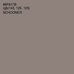 #8F817B - Schooner Color Image