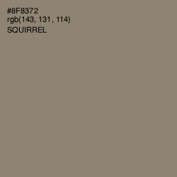 #8F8372 - Squirrel Color Image