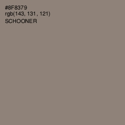 #8F8379 - Schooner Color Image