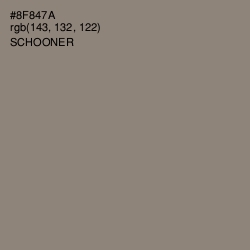 #8F847A - Schooner Color Image
