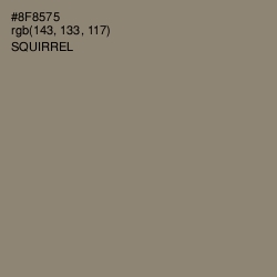 #8F8575 - Squirrel Color Image