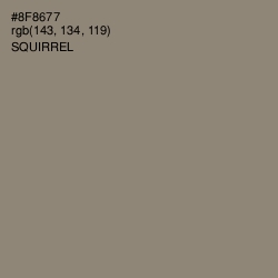 #8F8677 - Squirrel Color Image