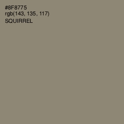 #8F8775 - Squirrel Color Image