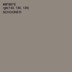 #8F887E - Schooner Color Image