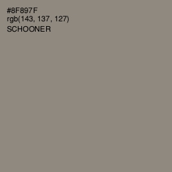 #8F897F - Schooner Color Image