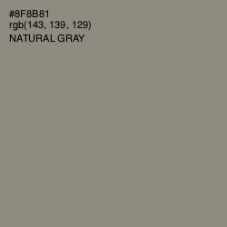 #8F8B81 - Natural Gray Color Image