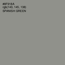 #8F918A - Spanish Green Color Image
