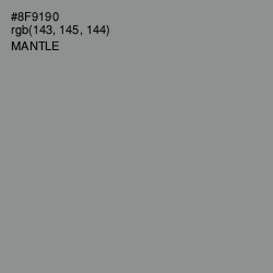 #8F9190 - Mantle Color Image