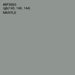 #8F9590 - Mantle Color Image