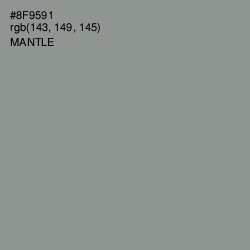 #8F9591 - Mantle Color Image