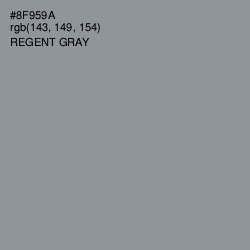 #8F959A - Regent Gray Color Image