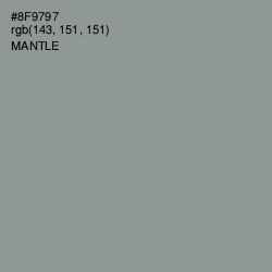 #8F9797 - Mantle Color Image