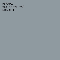 #8F99A0 - Manatee Color Image