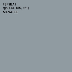 #8F9BA1 - Manatee Color Image