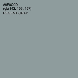 #8F9C9D - Regent Gray Color Image