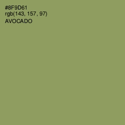 #8F9D61 - Avocado Color Image