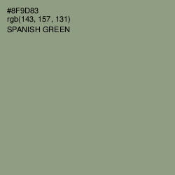 #8F9D83 - Spanish Green Color Image