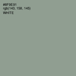 #8F9E91 - Mantle Color Image