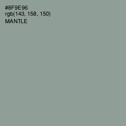 #8F9E96 - Mantle Color Image