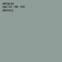 #8F9E99 - Mantle Color Image