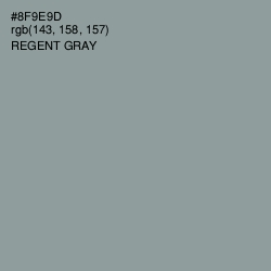 #8F9E9D - Regent Gray Color Image