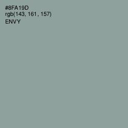 #8FA19D - Envy Color Image