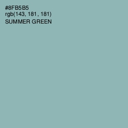 #8FB5B5 - Summer Green Color Image