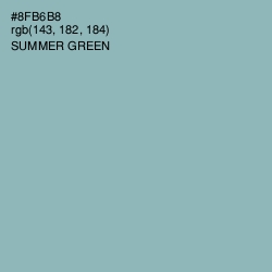 #8FB6B8 - Summer Green Color Image