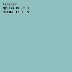 #8FBFBF - Summer Green Color Image