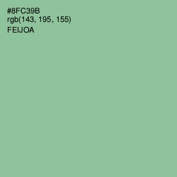 #8FC39B - Feijoa Color Image