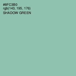 #8FC3B0 - Shadow Green Color Image