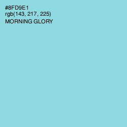 #8FD9E1 - Morning Glory Color Image