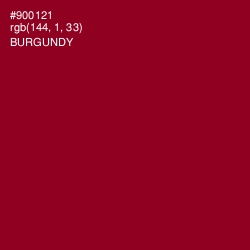 #900121 - Burgundy Color Image