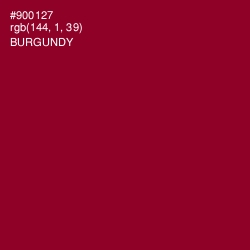 #900127 - Burgundy Color Image