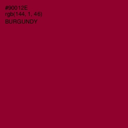 #90012E - Burgundy Color Image