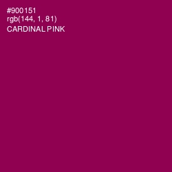 #900151 - Cardinal Pink Color Image