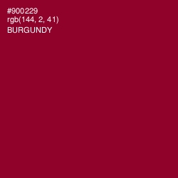 #900229 - Burgundy Color Image