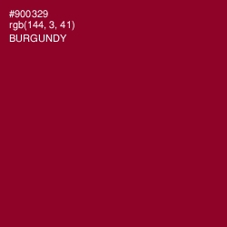 #900329 - Burgundy Color Image