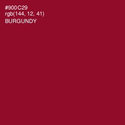 #900C29 - Burgundy Color Image