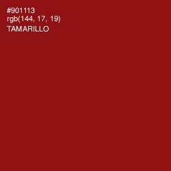 #901113 - Tamarillo Color Image